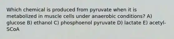 Which chemical is produced from pyruvate when it is metabolized in muscle cells under anaerobic conditions? A) glucose B) ethanol C) phosphoenol pyruvate D) lactate E) acetyl-SCoA