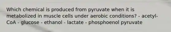 Which chemical is produced from pyruvate when it is metabolized in muscle cells under aerobic conditions? - acetyl-CoA - glucose - ethanol - lactate - phosphoenol pyruvate