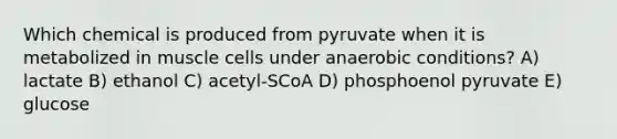 Which chemical is produced from pyruvate when it is metabolized in muscle cells under anaerobic conditions? A) lactate B) ethanol C) acetyl-SCoA D) phosphoenol pyruvate E) glucose