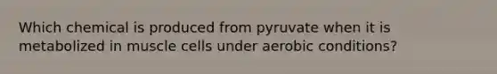 Which chemical is produced from pyruvate when it is metabolized in muscle cells under aerobic conditions?