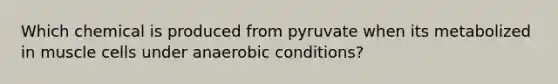 Which chemical is produced from pyruvate when its metabolized in muscle cells under anaerobic conditions?