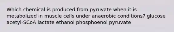 Which chemical is produced from pyruvate when it is metabolized in muscle cells under anaerobic conditions? glucose acetyl-SCoA lactate ethanol phosphoenol pyruvate