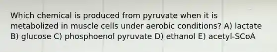 Which chemical is produced from pyruvate when it is metabolized in muscle cells under aerobic conditions? A) lactate B) glucose C) phosphoenol pyruvate D) ethanol E) acetyl-SCoA