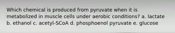 Which chemical is produced from pyruvate when it is metabolized in muscle cells under aerobic conditions? a. lactate b. ethanol c. acetyl-SCoA d. phosphoenol pyruvate e. glucose