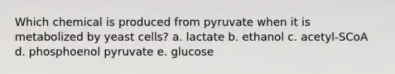 Which chemical is produced from pyruvate when it is metabolized by yeast cells? a. lactate b. ethanol c. acetyl-SCoA d. phosphoenol pyruvate e. glucose