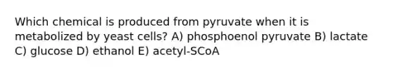 Which chemical is produced from pyruvate when it is metabolized by yeast cells? A) phosphoenol pyruvate B) lactate C) glucose D) ethanol E) acetyl-SCoA