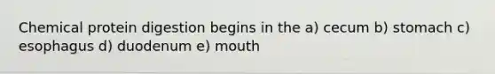 Chemical protein digestion begins in the a) cecum b) stomach c) esophagus d) duodenum e) mouth