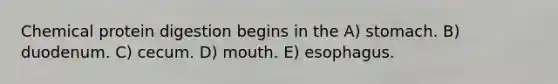 Chemical protein digestion begins in the A) stomach. B) duodenum. C) cecum. D) mouth. E) esophagus.