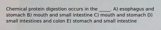 Chemical protein digestion occurs in the _____. A) esophagus and stomach B) mouth and small intestine C) mouth and stomach D) small intestines and colon E) stomach and small intestine