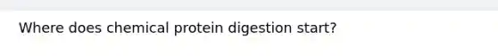 Where does chemical protein digestion start?