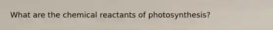 What are the chemical reactants of photosynthesis?