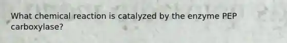 What chemical reaction is catalyzed by the enzyme PEP carboxylase?