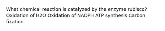 What chemical reaction is catalyzed by the enzyme rubisco? Oxidation of H2O Oxidation of NADPH ATP synthesis Carbon fixation