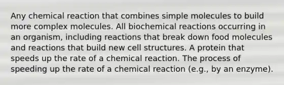 Any chemical reaction that combines simple molecules to build more complex molecules. All biochemical reactions occurring in an organism, including reactions that break down food molecules and reactions that build new cell structures. A protein that speeds up the rate of a chemical reaction. The process of speeding up the rate of a chemical reaction (e.g., by an enzyme).