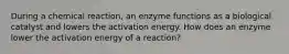 During a chemical reaction, an enzyme functions as a biological catalyst and lowers the activation energy. How does an enzyme lower the activation energy of a reaction?