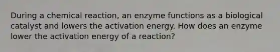 During a chemical reaction, an enzyme functions as a biological catalyst and lowers the activation energy. How does an enzyme lower the activation energy of a reaction?