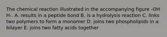 The chemical reaction illustrated in the accompanying figure -OH H-. A. results in a peptide bond B. is a hydrolysis reaction C. links two polymers to form a monomer D. joins two phospholipids in a bilayer E. joins two fatty acids together