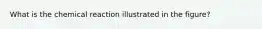 What is the chemical reaction illustrated in the figure?