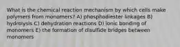 What is the chemical reaction mechanism by which cells make polymers from monomers? A) phosphodiester linkages B) hydrolysis C) dehydration reactions D) ionic bonding of monomers E) the formation of disulfide bridges between monomers