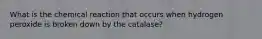 What is the chemical reaction that occurs when hydrogen peroxide is broken down by the catalase?