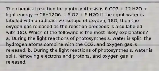 The chemical reaction for photosynthesis is 6 CO2 + 12 H2O + light energy → C6H12O6 + 6 O2 + 6 H2O If the input water is labeled with a radioactive isotope of oxygen, 18O, then the oxygen gas released as the reaction proceeds is also labeled with 18O. Which of the following is the most likely explanation? a. During the light reactions of photosynthesis, water is split, the hydrogen atoms combine with the CO2, and oxygen gas is released. b. During the light reactions of photosynthesis, water is split, removing electrons and protons, and oxygen gas is released.