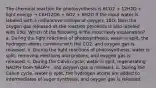 The chemical reaction for photosynthesis is 6CO2 + 12H2O + light energy → C6H12O6 + 6O2 + 6H2O If the input water is labeled with a radioactive isotope of oxygen, 18O, then the oxygen gas released as the reaction proceeds is also labeled with 18O. Which of the following is the most likely explanation? a. During the light reactions of photosynthesis, water is split, the hydrogen atoms combine with the CO2, and oxygen gas is released. b. During the light reactions of photosynthesis, water is split, removing electrons and protons, and oxygen gas is released. c. During the Calvin cycle, water is split, regenerating NADPH from NADP+, and oxygen gas is released. d. During the Calvin cycle, water is split, the hydrogen atoms are added to intermediates of sugar synthesis, and oxygen gas is released.