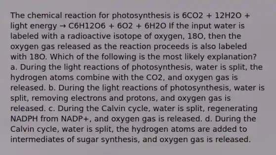 The chemical reaction for photosynthesis is 6CO2 + 12H2O + light energy → C6H12O6 + 6O2 + 6H2O If the input water is labeled with a radioactive isotope of oxygen, 18O, then the oxygen gas released as the reaction proceeds is also labeled with 18O. Which of the following is the most likely explanation? a. During the light reactions of photosynthesis, water is split, the hydrogen atoms combine with the CO2, and oxygen gas is released. b. During the light reactions of photosynthesis, water is split, removing electrons and protons, and oxygen gas is released. c. During the Calvin cycle, water is split, regenerating NADPH from NADP+, and oxygen gas is released. d. During the Calvin cycle, water is split, the hydrogen atoms are added to intermediates of sugar synthesis, and oxygen gas is released.