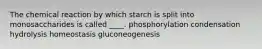 ​The chemical reaction by which starch is split into monosaccharides is called ____. ​phosphorylation ​condensation hydrolysis​ ​homeostasis ​gluconeogenesis