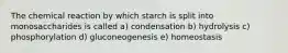 The chemical reaction by which starch is split into monosaccharides is called a) condensation b) hydrolysis c) phosphorylation d) gluconeogenesis e) homeostasis