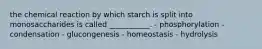 the chemical reaction by which starch is split into monosaccharides is called ___________. - phosphorylation - condensation - glucongenesis - homeostasis - hydrolysis