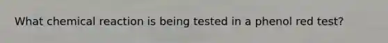 What chemical reaction is being tested in a phenol red test?