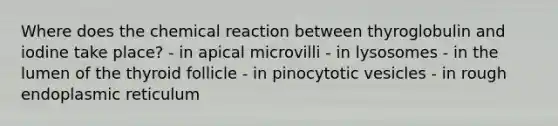 Where does the chemical reaction between thyroglobulin and iodine take place? - in apical microvilli - in lysosomes - in the lumen of the thyroid follicle - in pinocytotic vesicles - in rough endoplasmic reticulum