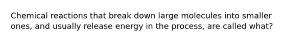 Chemical reactions that break down large molecules into smaller ones, and usually release energy in the process, are called what?