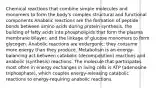 Chemical reactions that combine simple molecules and monomers to form the body's complex structural and functional components Anabolic reactions are the formation of peptide bonds between amino acids during protein synthesis, the building of fatty acids into phospholipids that form the plasma membrane bilayer, and the linkage of glucose monomers to form glycogen. Anabolic reactions are endergonic; they consume more energy than they produce. Metabolism is an energy-balancing act between catabolic (decomposition) reactions and anabolic (synthesis) reactions. The molecule that participates most often in energy exchanges in living cells is ATP (adenosine triphosphate), which couples energy-releasing catabolic reactions to energy-requiring anabolic reactions.