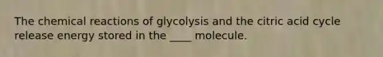 The chemical reactions of glycolysis and the citric acid cycle release energy stored in the ____ molecule.