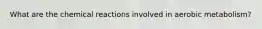 What are the chemical reactions involved in aerobic metabolism?