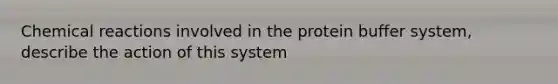 Chemical reactions involved in the protein buffer system, describe the action of this system