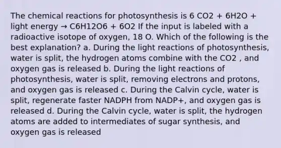 The chemical reactions for photosynthesis is 6 CO2 + 6H2O + light energy → C6H12O6 + 6O2 If the input is labeled with a radioactive isotope of oxygen, 18 O. Which of the following is the best explanation? a. During the light reactions of photosynthesis, water is split, the hydrogen atoms combine with the CO2 , and oxygen gas is released b. During the light reactions of photosynthesis, water is split, removing electrons and protons, and oxygen gas is released c. During the Calvin cycle, water is split, regenerate faster NADPH from NADP+, and oxygen gas is released d. During the Calvin cycle, water is split, the hydrogen atoms are added to intermediates of sugar synthesis, and oxygen gas is released