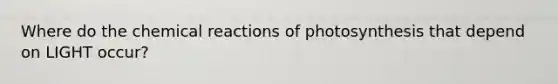 Where do the <a href='https://www.questionai.com/knowledge/kc6NTom4Ep-chemical-reactions' class='anchor-knowledge'>chemical reactions</a> of photosynthesis that depend on LIGHT occur?