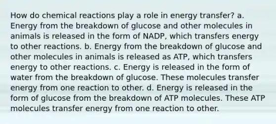 How do chemical reactions play a role in energy transfer? a. Energy from the breakdown of glucose and other molecules in animals is released in the form of NADP, which transfers energy to other reactions. b. Energy from the breakdown of glucose and other molecules in animals is released as ATP, which transfers energy to other reactions. c. Energy is released in the form of water from the breakdown of glucose. These molecules transfer energy from one reaction to other. d. Energy is released in the form of glucose from the breakdown of ATP molecules. These ATP molecules transfer energy from one reaction to other.