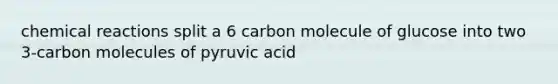 chemical reactions split a 6 carbon molecule of glucose into two 3-carbon molecules of pyruvic acid