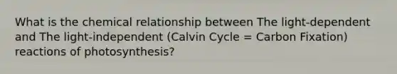 What is the chemical relationship between The light-dependent and The light-independent (Calvin Cycle = Carbon Fixation) reactions of photosynthesis?