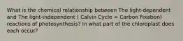 What is the chemical relationship between The light-dependent and The light-independent ( Calvin Cycle = Carbon Fixation) reactions of photosynthesis? In what part of the chloroplast does each occur?