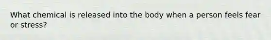 What chemical is released into the body when a person feels fear or stress?