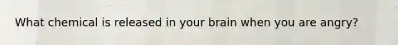 What chemical is released in your brain when you are angry?