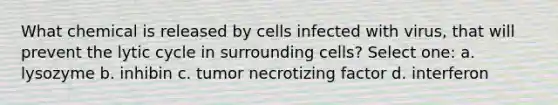 What chemical is released by cells infected with virus, that will prevent the lytic cycle in surrounding cells? Select one: a. lysozyme b. inhibin c. tumor necrotizing factor d. interferon