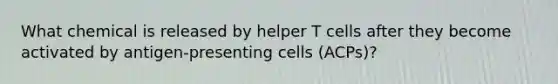 What chemical is released by helper T cells after they become activated by antigen-presenting cells (ACPs)?