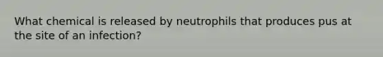 What chemical is released by neutrophils that produces pus at the site of an infection?