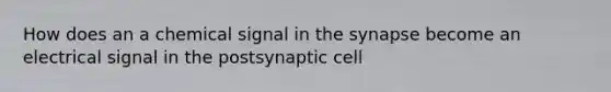 How does an a chemical signal in <a href='https://www.questionai.com/knowledge/kTCXU7vaKU-the-synapse' class='anchor-knowledge'>the synapse</a> become an electrical signal in the postsynaptic cell