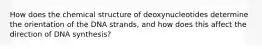 How does the chemical structure of deoxynucleotides determine the orientation of the DNA strands, and how does this affect the direction of DNA synthesis?